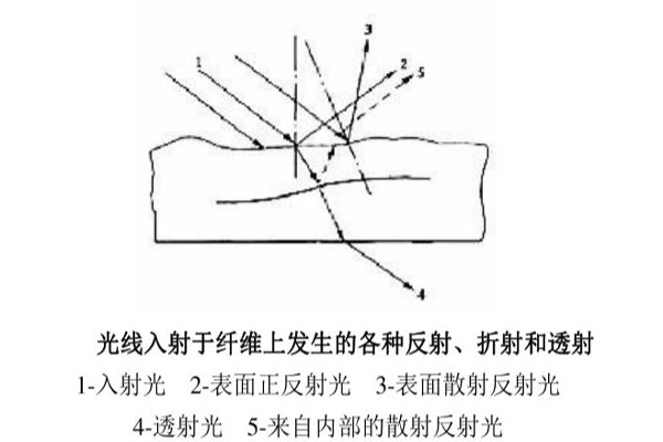 光線入射于纖維上發(fā)生的各種反射、折射和透射